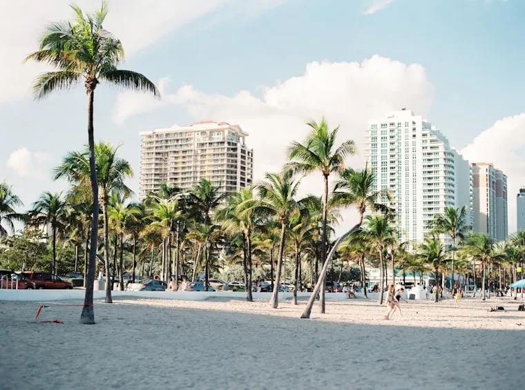 Beachside palms and towers